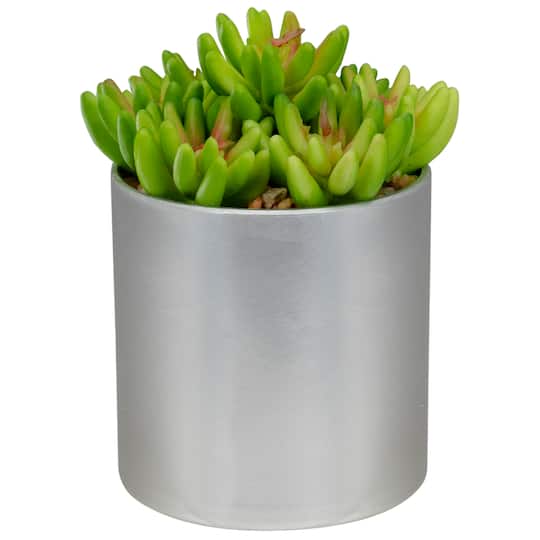 34738364 4.75 in. Potted Red & Green Artificial Sedum Succulent